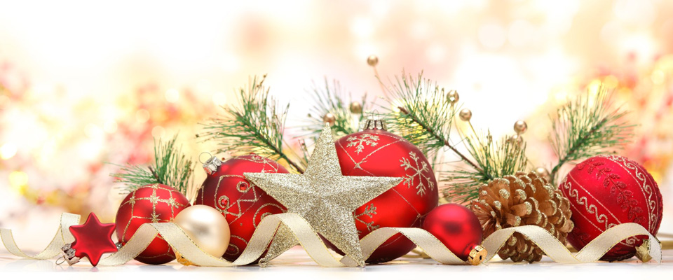 Menu pranzo di Natale